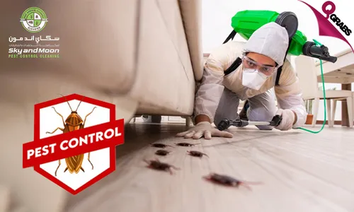Protect your Home with a Pest Control Treatment!